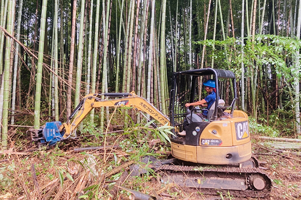 竹林にて竹を伐採の画像