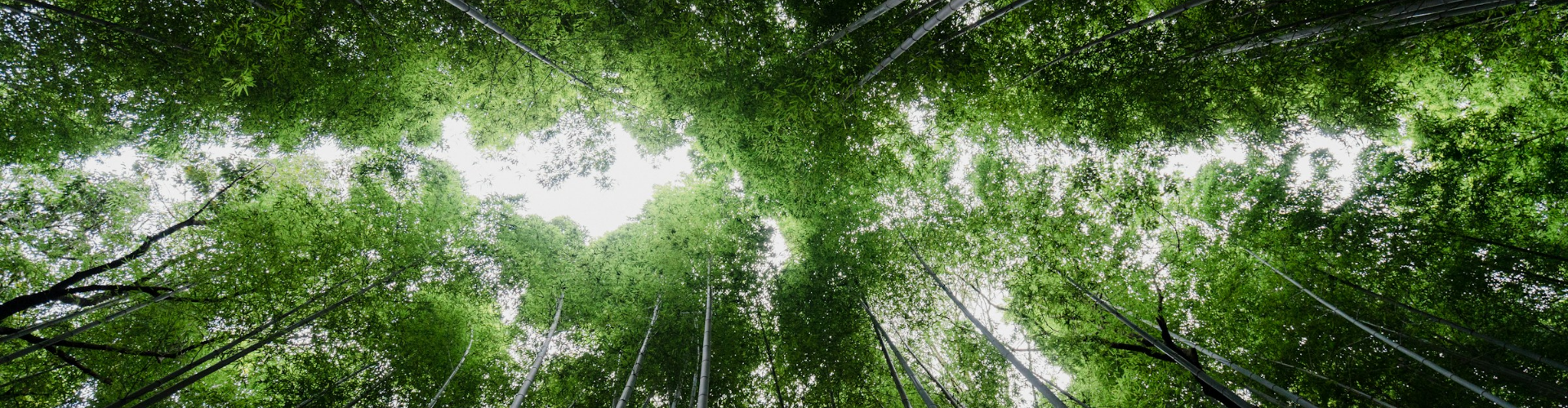 環境アグリ事業の画像